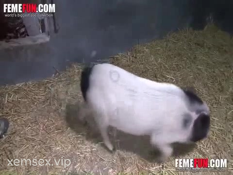 Ai Thích Sex Thú Thì Zô đây #11