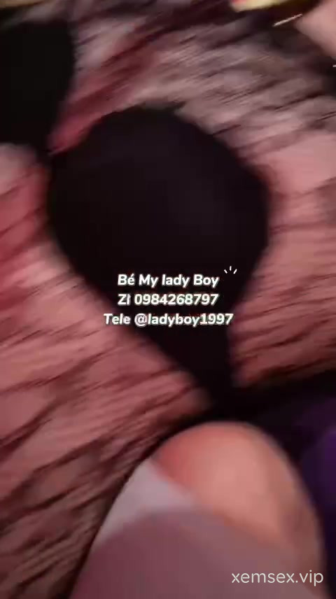 Fulll Chính Chủ Album Bé Lady Chuppy #2