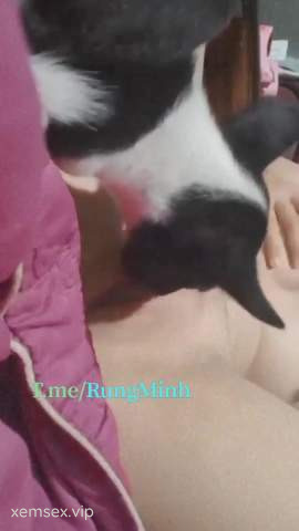 Ảnh thumbnail của [ST] Xả Hàng Trong Máy #458